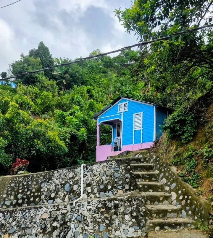 Casa de madera pintada de azul, con base rosada, en una ladera cubierta de árboles; al frente, una escalera de piedra.